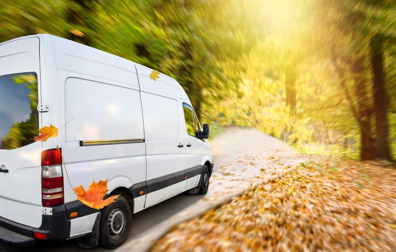 van in leaves